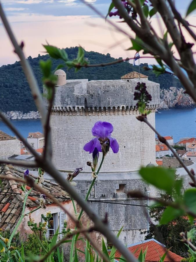 Apartment Bruana 5 Dubrovník Exteriér fotografie