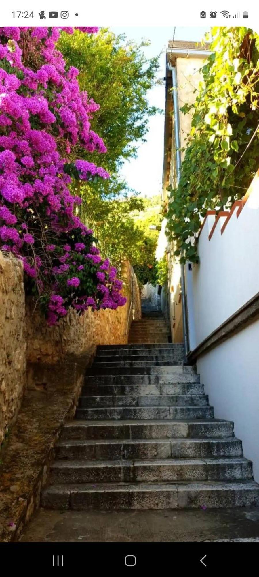 Apartment Bruana 5 Dubrovník Exteriér fotografie